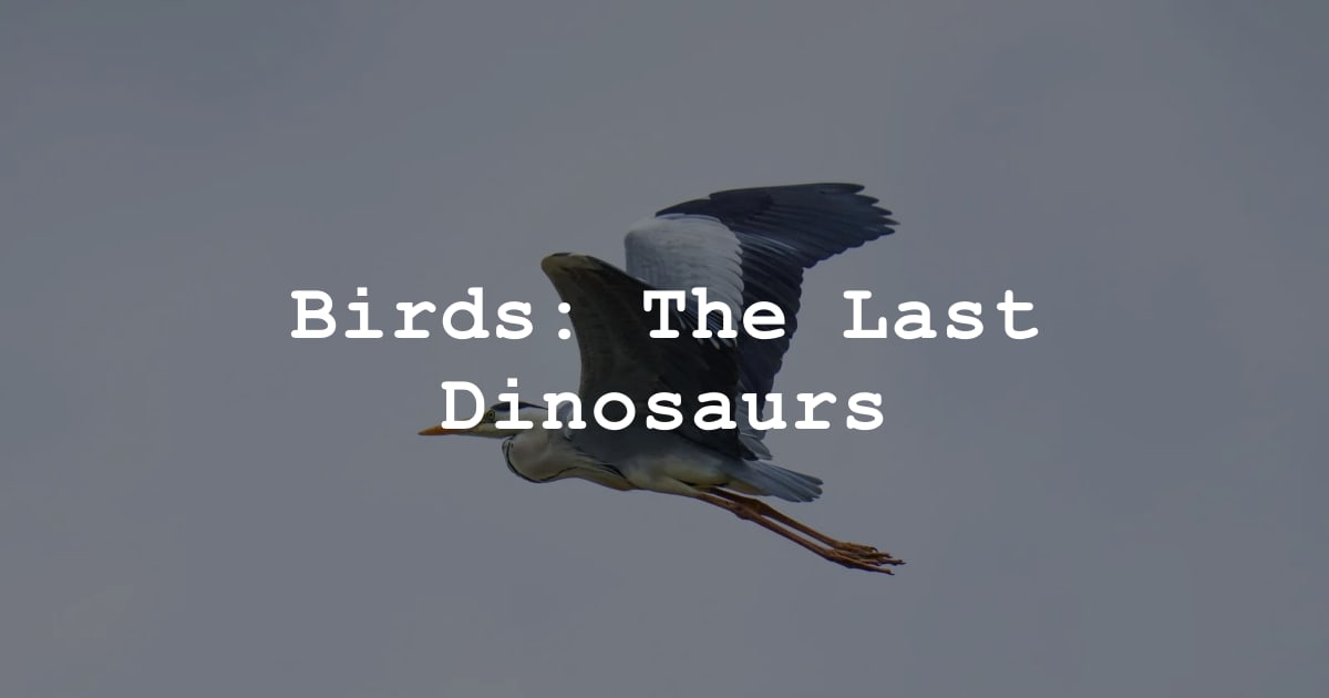 Birds Are Dinosaurs cover