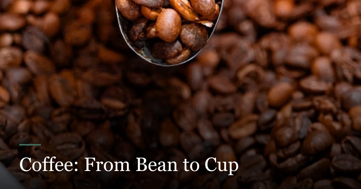 Follow the Coffee Bean cover