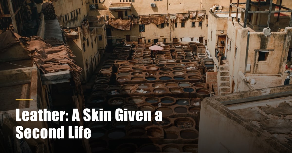 Leather: A Skin Given a Second Life cover
