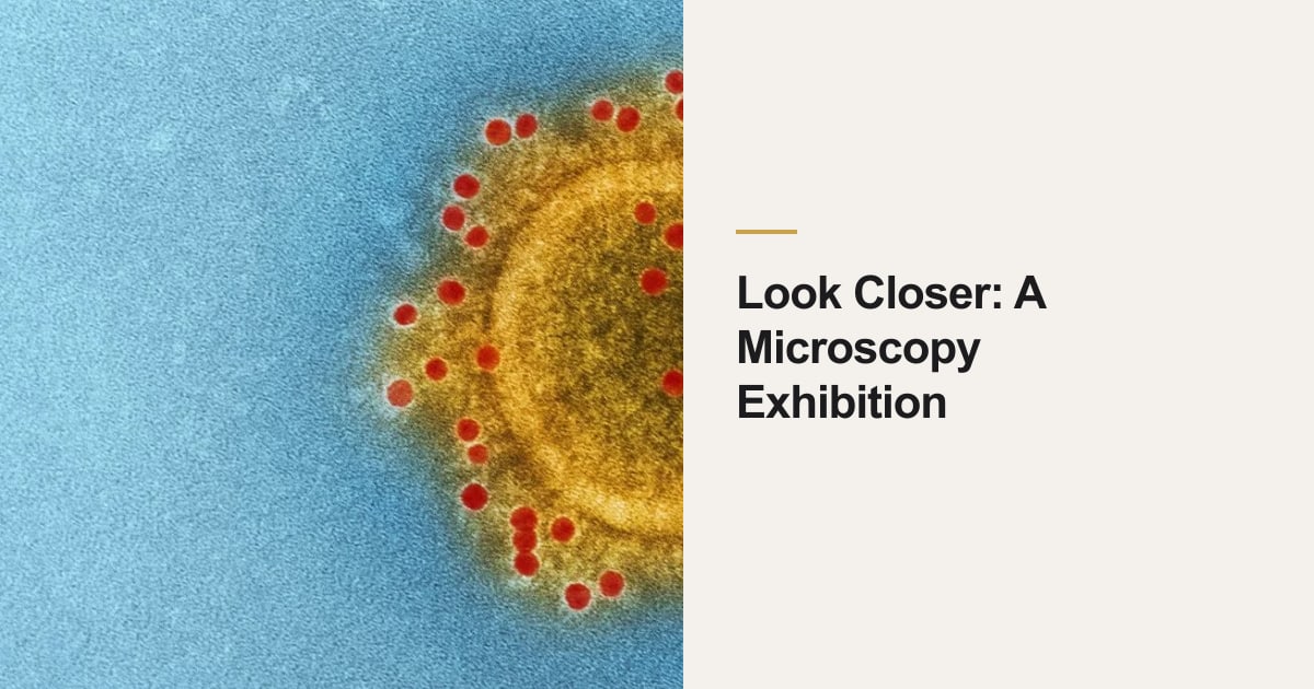 Look Closer: A Microscopy Exhibition cover