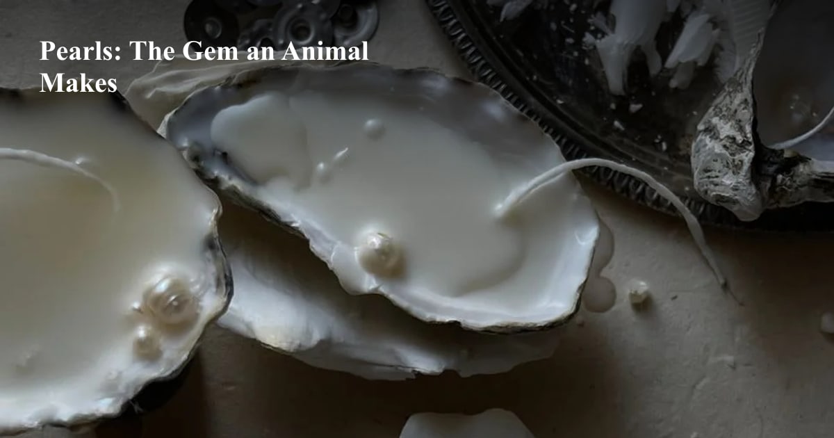 Pearls: The Gem an Animal Makes cover