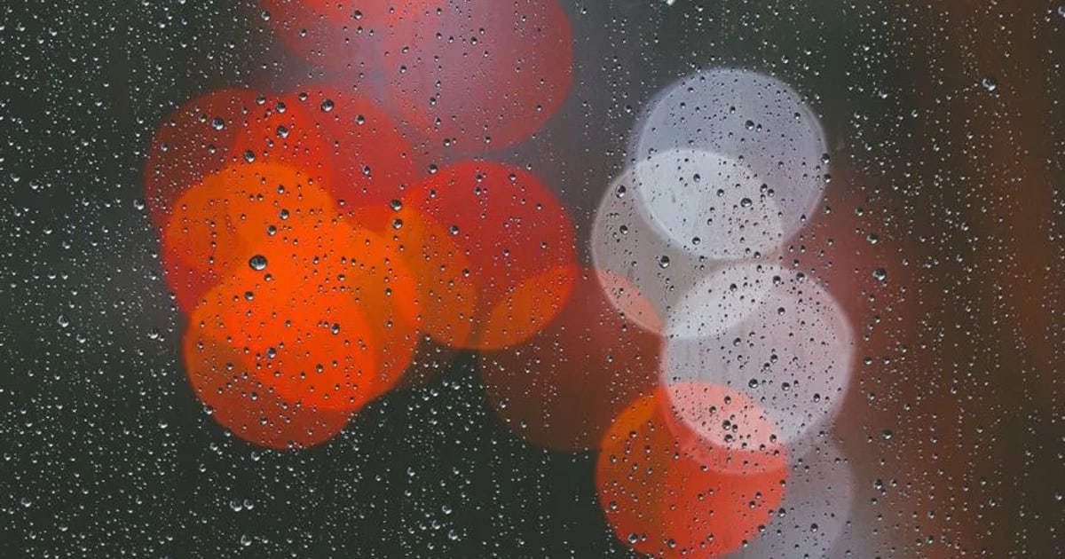 Rain: The Water Cycle, Made Visible cover