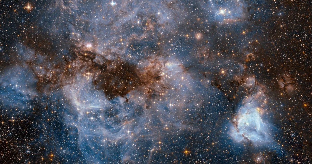 The Cosmos: Where Stars Are Born cover