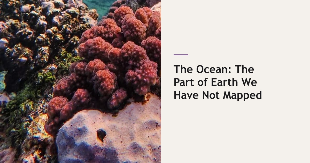 The Unmapped Ocean cover